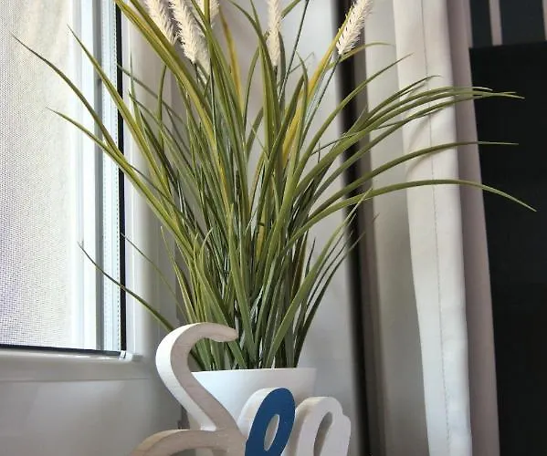 Marynarskie 100m Od Plazy * Rowy (Pomerania)